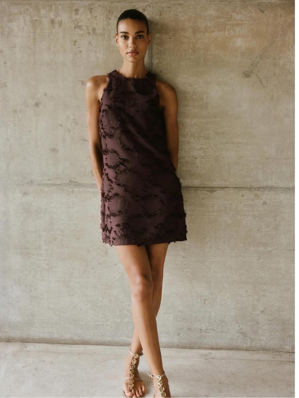 Zara brown dress NWT